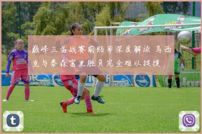 巅峰三番战赛前赔率深度解读 乌西克与泰森富里胜负完全难以捉摸